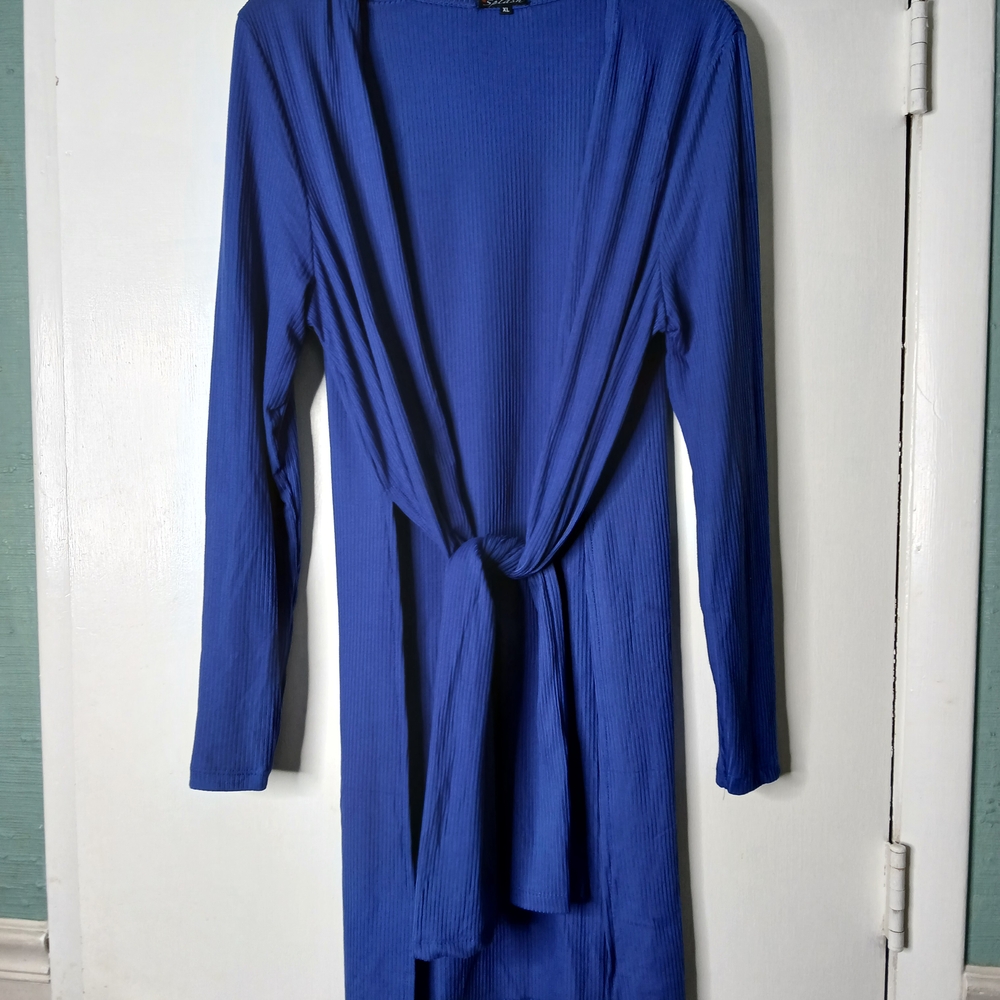 Elegant Blue Long Sleeve Carnigan